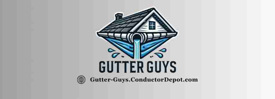 Gutter Guys Cover Image